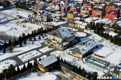 Сосны красноярск фото фото