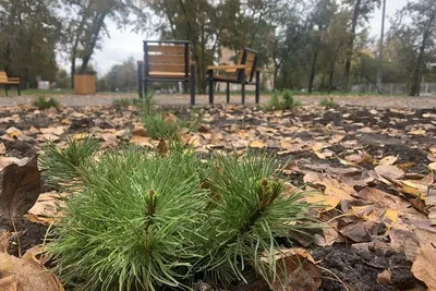 Лучшие представители рынка элитной недвижимости в разных городах России.  Моя версия | Риэлтор из Сибири. Москва - Красноярск | Дзен