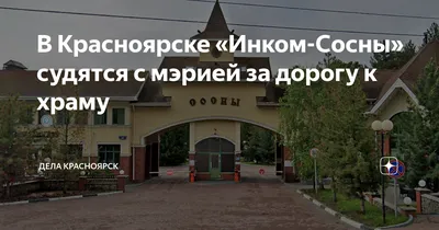 Сосны: последние новости на сегодня, самые свежие сведения | НГС24 -  новости Красноярска