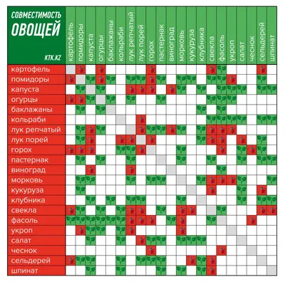 Пять лучших сочетаний овощей на грядке | КТК