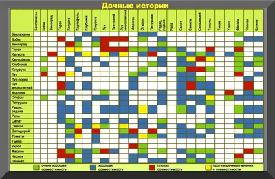 Соседство овощей на грядке - таблица-памятка | Сайт о саде, даче и  комнатных растениях.