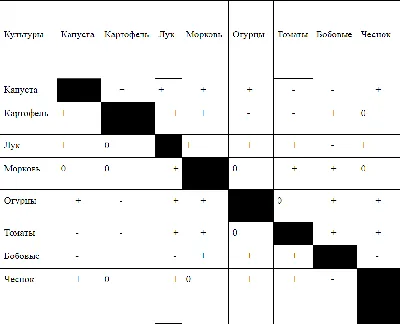 Хорошие и плохие соседи на грядке - блог Веселого Дачника