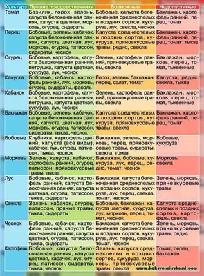 Соседство овощей на грядках: таблица совместимости растений