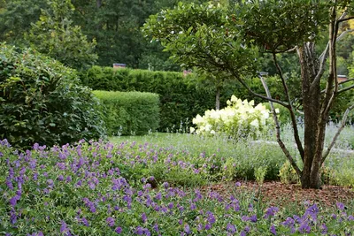 СОВРЕМЕННЫЙ САД - МЕБЕЛЬ, КОТОРАЯ УКРАДЕТ ВАШЕ СЕРДЦЕ | Интернет-магазин  Garden Space