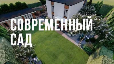 Современный сад у дома, эстетично, …» — создано в Шедевруме