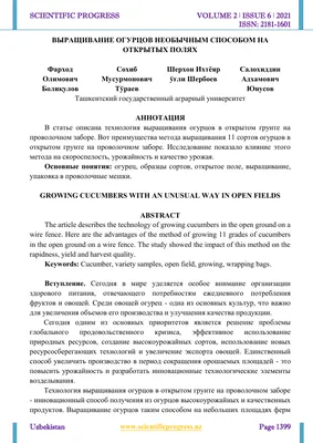Вырастить огурцы на шпалере в открытом грунте | naidy-garden.ru