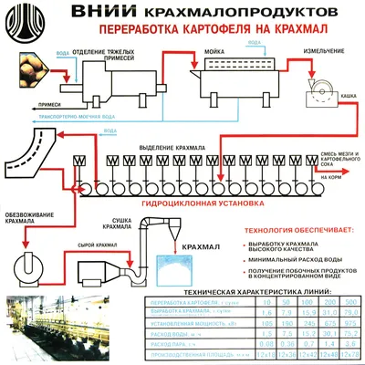 Части завода Морфология и анатомия спруженого картофельного клубня  Иллюстрация вектора - иллюстрации насчитывающей изолировано, биохимии:  160578275