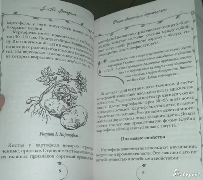 шницель с французской картошкой. эскиз еды для германа. конструкция меню  Oktoberfest. иллюстрация ручного питания для Иллюстрация вектора -  иллюстрации насчитывающей рука, салат: 249452947