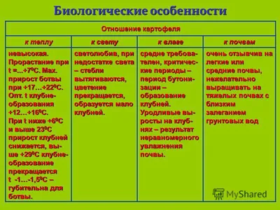 Городская поликлиника №12 – Факторы риска развития сердечно-сосудистых  заболеваний