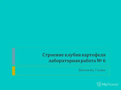 Картофель семенной Адретта (1 кг/уп - репродукция супер-супер элита,  средне-ранний) купить за 195 р. в садовом центре АСТ Медовое