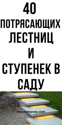 Каменные Ступени В Пышном Саду — стоковые фотографии и другие картинки  Задний или передний двор - Задний или передний двор, Каменный материал,  Ступеньки - iStock