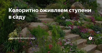 Колоритно оживляем ступени в саду | Идеи для уютного сада | Дзен