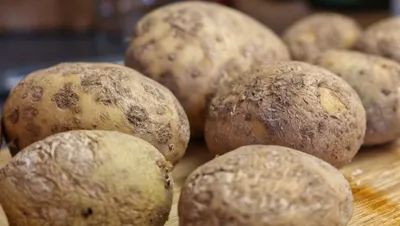 Почему в Одессе продают гнилую картошку-специалисты дали ответ | Новини.live