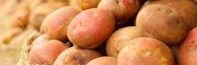 Продам картофель Гренада сухая гниль 20% — APKUA