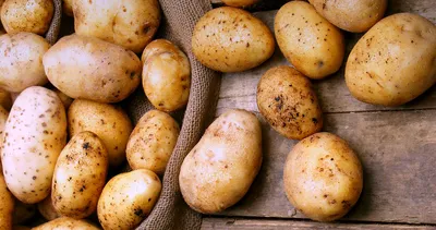 Картофель Сорт \"Королева Анна\" - «Картошка - второй хлеб. При сегодняшнем  изобилии продуктов в магазине, это утверждение спорно. И всё же без картошки  ни как...» | отзывы