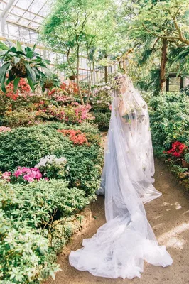 wedding in greenhouse свадьба в ботаническом саду | Свадьба, Фотосессия, Сад