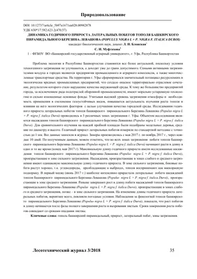 Светлана Тополь - администратор - ЦА ЛЕММА | LinkedIn