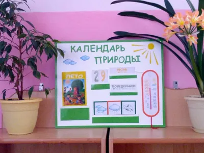 Оформление уголка природы своими руками. «Календарь природы» (1 фото).  Воспитателям детских садов, школьным учителям и педагогам - Маам.ру