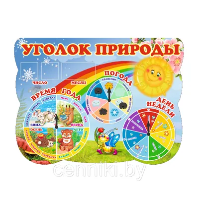 Уголок природы детском саду: оформление по ФГОС, картинки