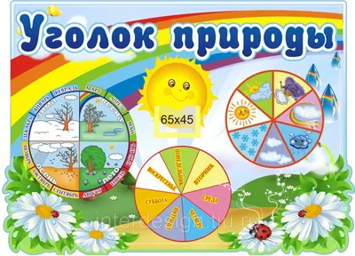 Тумба для уголка природы в Беларуси. Сравнить цены и поставщиков  промышленных товаров на маркетплейсе Deal.by