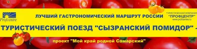 Чересчур восхваляли томаты: чем в 2022 году удивил праздник «Сызранский  помидор» – Новости Самары и Самарской области – ГТРК Самара