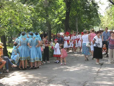 Сызранский помидор — trubfest