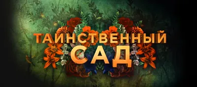 Ольга Ионайтис «Таинственный сад» — Картинки и разговоры | Садовые  иллюстрации, Иллюстрации арт, Иллюстратор