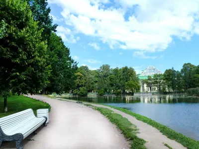 Места