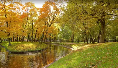 Таврический сад в Санкт-Петербурге