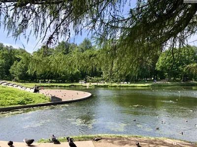 Таврический сад — рай для фотографов