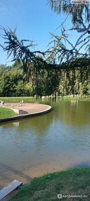 Таврический сад в Санкт-Петербурге