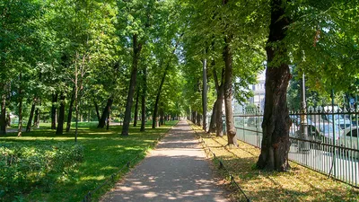 Таврический сад в Санкт-Петербурге: как добраться, история, фото