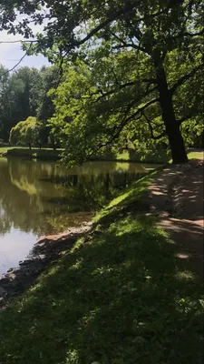Таврический сад — рай для фотографов