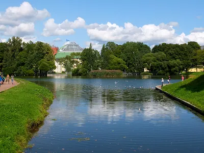 Таврический сад, Санкт-Петербург: лучшие советы перед посещением -  Tripadvisor