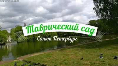 Концепция реконструкции Оранжерей Таврического сада / Ginza Project -  Рестораны и доставка еды под знаком качества