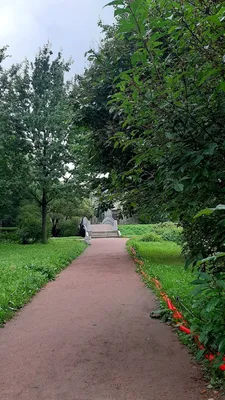 Фото Таврический сад, игротека — Канонер