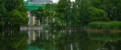 Таврический сад: мероприятия, еда, цены, билеты, карта, как добраться, часы  работы — ParkSeason