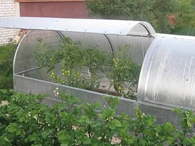 Купить парник Бабочка в Череповце