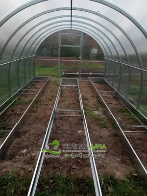 Зимние теплицы — Википедия