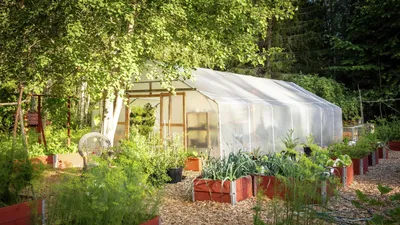 Стеклянные теплицы GreeneryLife