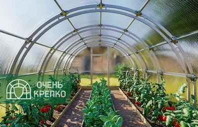 Обустройство теплицы из поликарбоната внутри своими руками: хитрости, фото,  видео