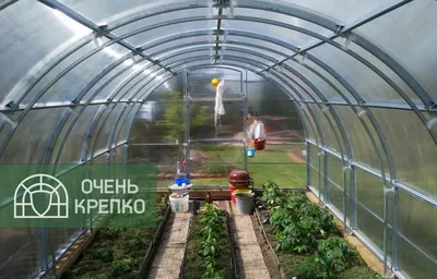 Весна Близко! Все о Теплицах. Узнайте, Как Выбрать Теплицу Правильно. |  правда от прораба | Дзен