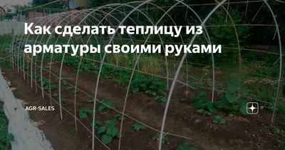Теплица своими руками: виды и этапы с фото | Блог \"Орион НН\"