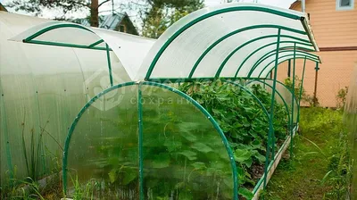 Теплица из композитной арматуры своими руками | Робметаллсталь