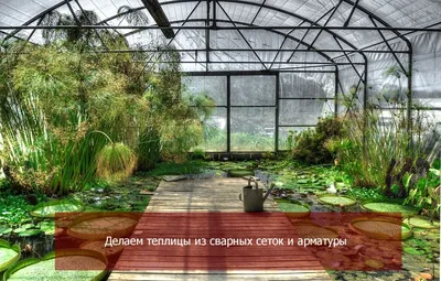 Теплицы и высокие грядки из сварной сетки – размеры и ячейка