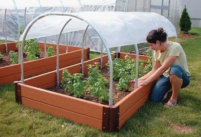 Парники своими руками 200 фото | Cold frame, Backyard greenhouse, Raised  garden