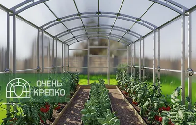 Теплица из поликарбоната МЗТ Мини 20М-1 купить в СПБ | Дача-Профи