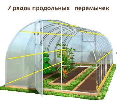 Кремлевская теплица Цинк 65 - купить от производителя Новые Формы в Москве