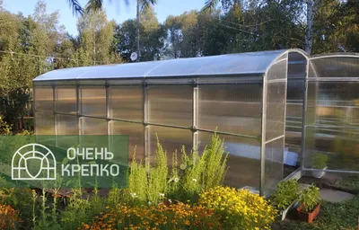 Теплица \"Люкс\" разборная 20х20 (шаг 1 м) - купить в интернет-магазине в  Калуге от производителя, цена и фото