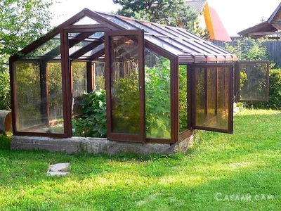 3 главных фактора выбора теплицы для дачи